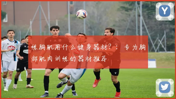 练胸肌用什么健身器材？：专为胸部肌肉训练的器材推荐