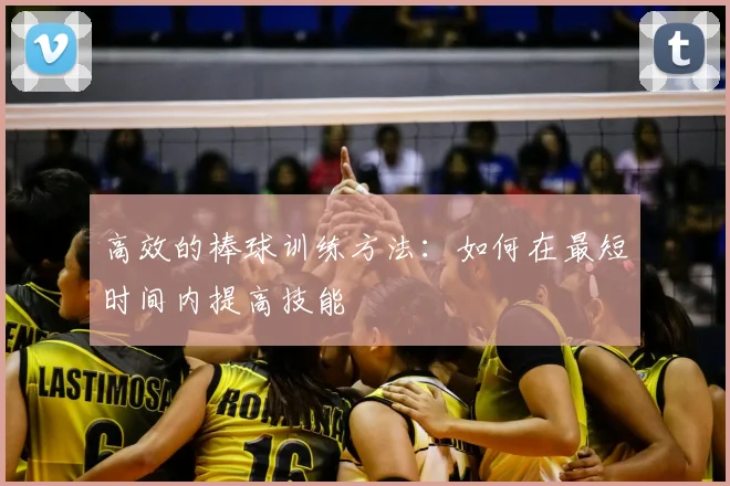 高效的棒球训练方法：如何在最短时间内提高技能