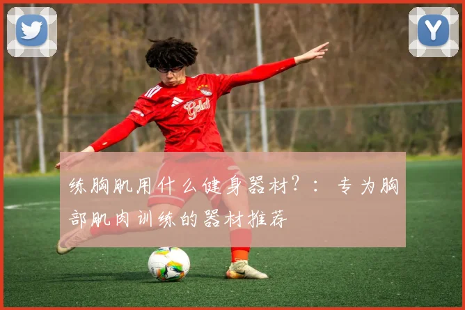 练胸肌用什么健身器材？：专为胸部肌肉训练的器材推荐